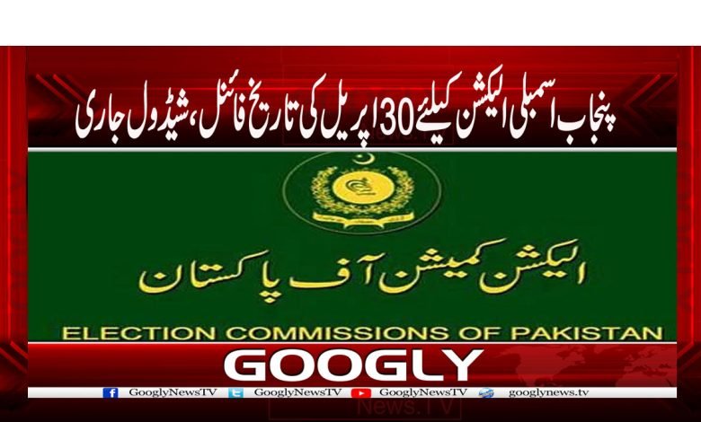 Election News in Urdu