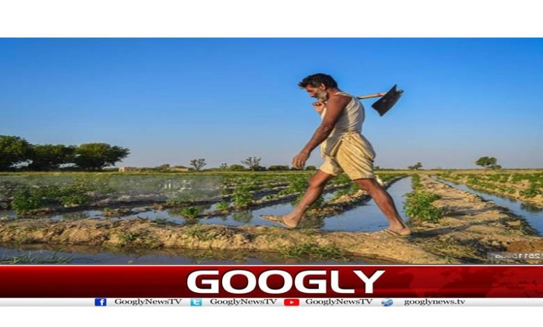 حکومت نےIMFکی شرط پر کسانوں کیلئے بھی بجلی مہنگی کر دی 1 Electricity Is Expensive For Farmers News