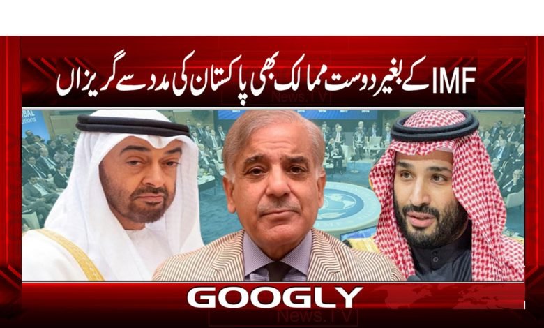 IMF Department News in Urdu