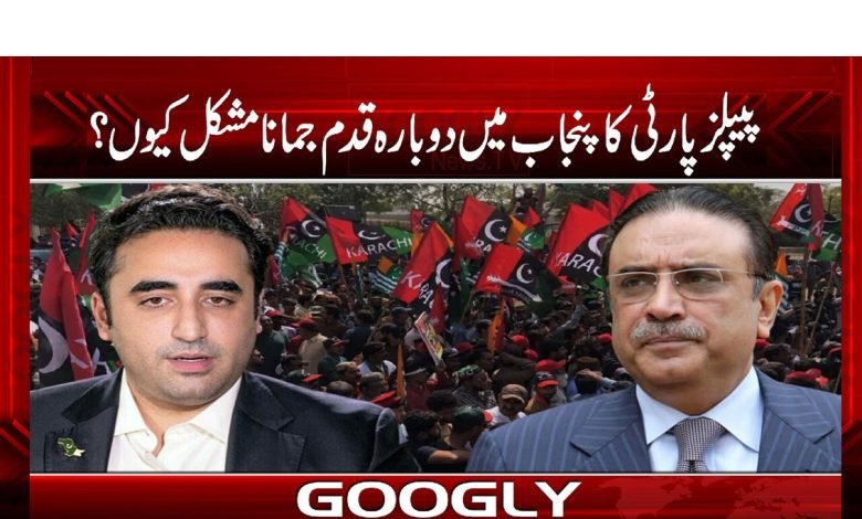 PPP Latest News in Urdu