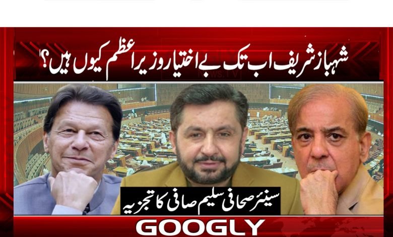 Saleem Safi Column in Urdu