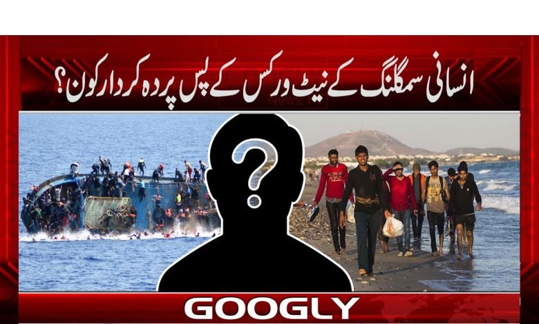 Immigrants Italy News