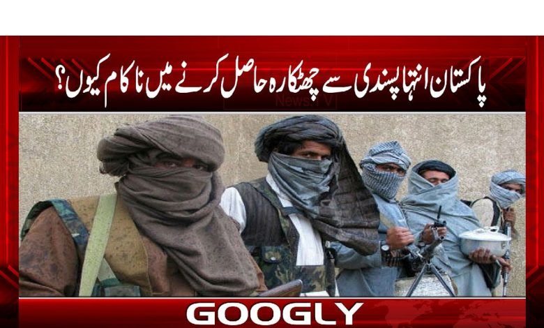 Taliban News in Urdu
