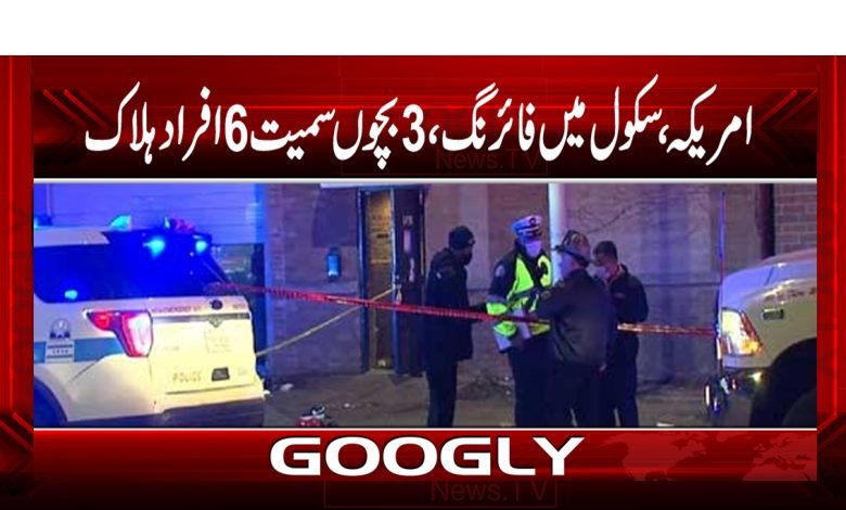 Shooting in The School News