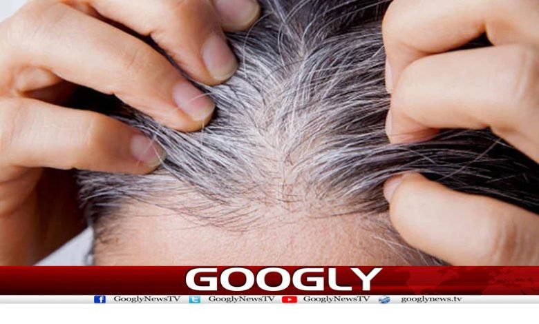 جوانی میں بالوں کے سفید ہونے کی عام وجوہات جان لیں 1 Health News in Urdu