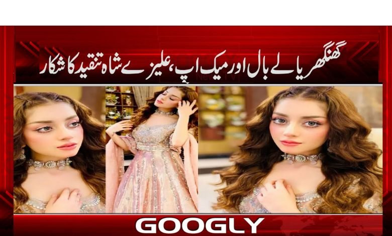 Alize Shah Under Criticism News