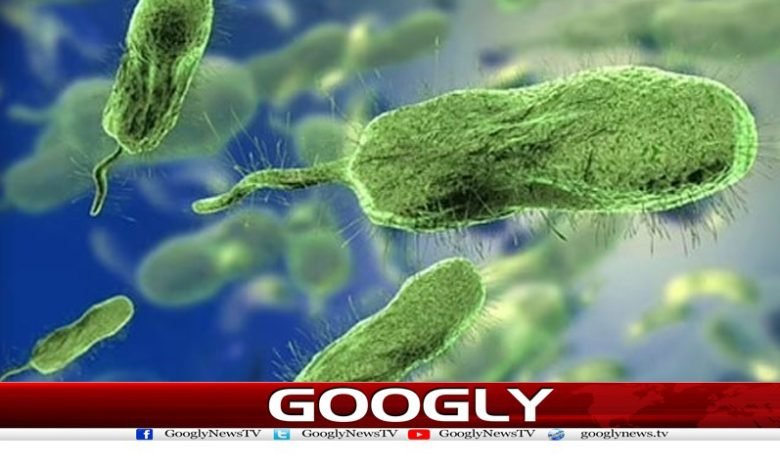 گوشت خور بیکٹیریا انفیکشن میں دوگنا اضافے کا خطرہ 1 Weird News in Urdu