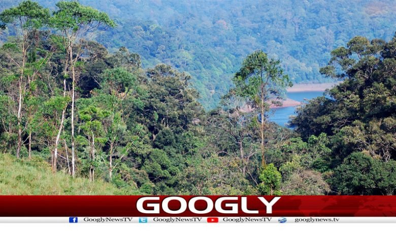 Wusatullah Khan Column in Urdu