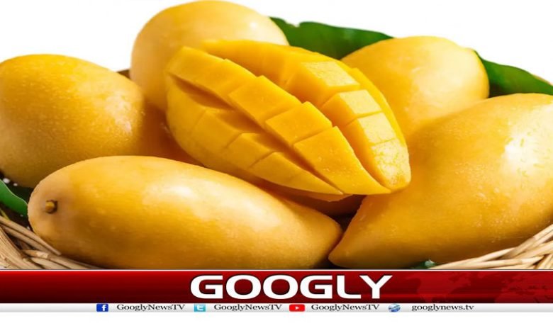 کھانے کے بعد آم کھانا بیماریوں سے بچائو میں مددگار 1 Health News in Urdu