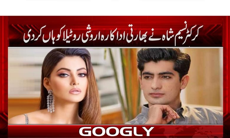 Naseem Shah And Urvashi Rotila News