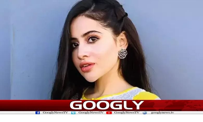 Arfi Javed News in Urdu