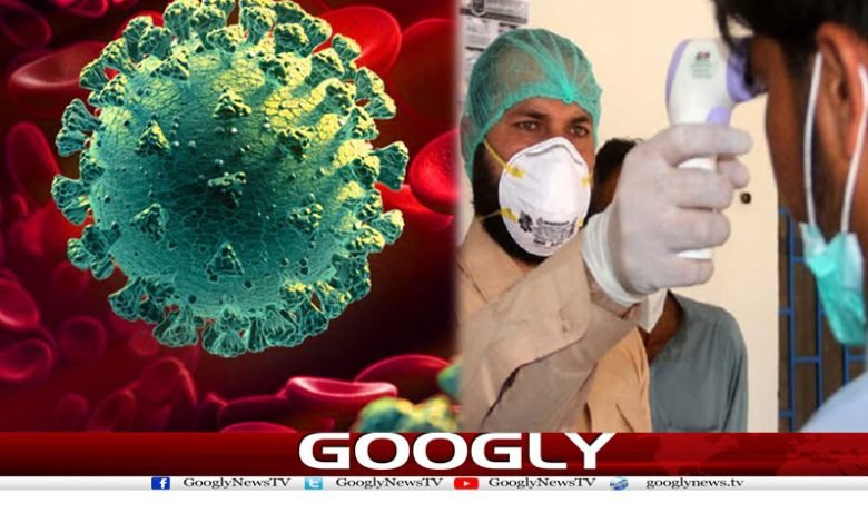24گھنٹو ں کے دوران مزید13افراد میں کورونا کی تصدیق 1 Health News in Urdu
