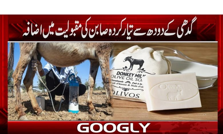 کیا حسین عورتیں گدھی کے دودھ سے تیار کیا گیا صابن استعمال کرتی ہیں؟ 1 Health Or Beauty Tips News