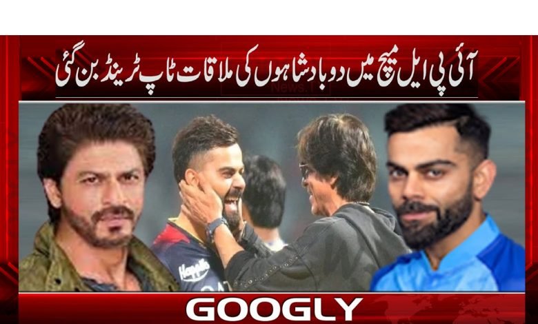 Shah Rukh Khan News in Urdu