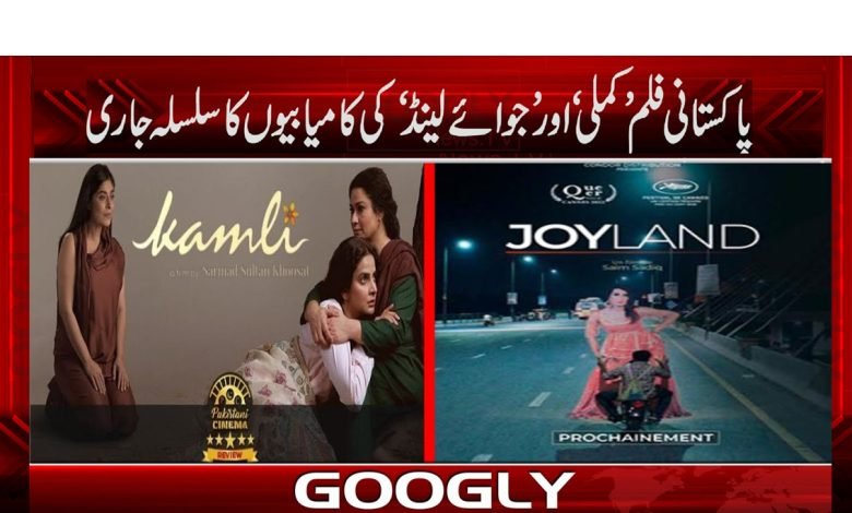 Pakistani International Film Festival