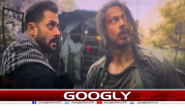 salman 6
