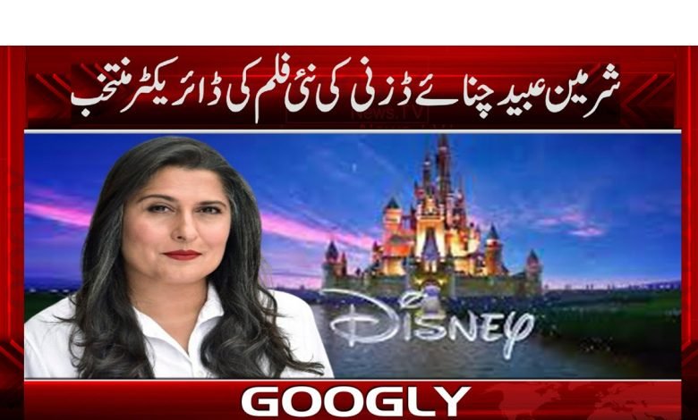 Sherman Obaid News in Urdu