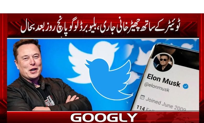 ’’ٹوئیٹر کے بلیو برڈ لوگو کو پانچ روز بعد بحال کر دیا گیا‘‘ 1 Twitter Bluebird Logo News in Urdu