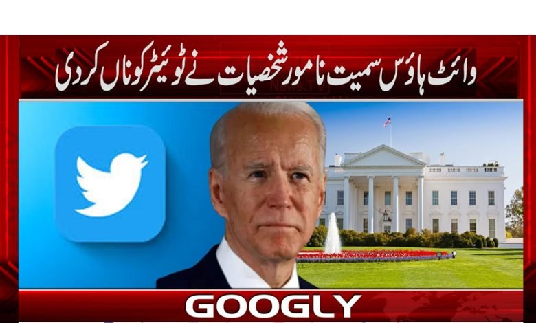 Elon Musk News in Urdu