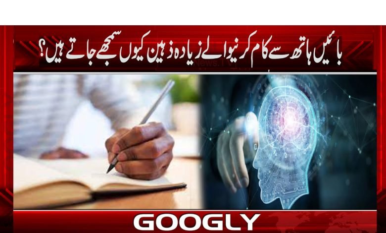 بائیں ہاتھ سے کام کرنیوالے زیادہ زہین کیوں سمجھے جاتے ہیں؟ 1 Weird News in Urdu
