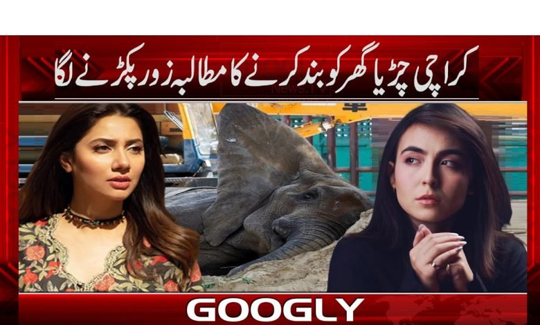 کراچی چڑیا گھر کو بند کرنے کا مطالبہ زور کیوں پکڑنے لگا؟ 1 zoo 1