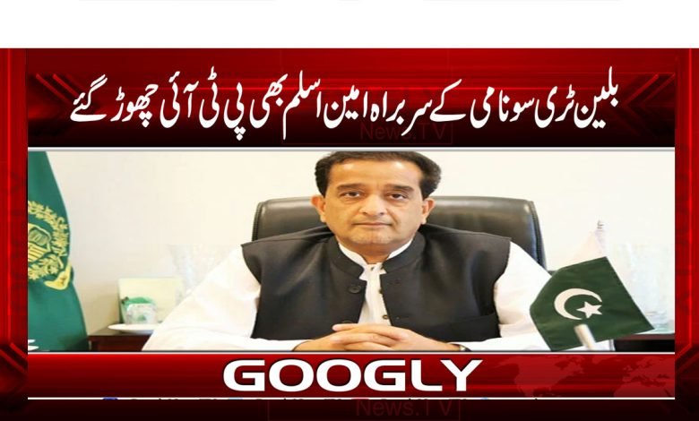 Malik Amin Aslam Quit News Urdu