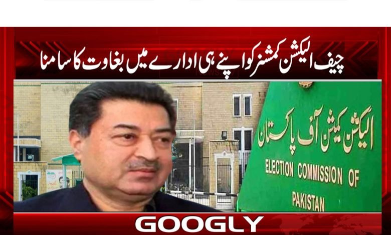 ECP