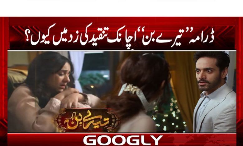Drama Tere Bin Latest News in Urdu
