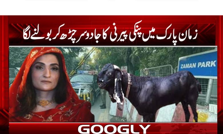 Zamaan Park thmb