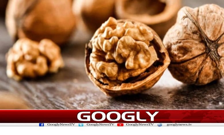 اخروٹ کے مزید فوائد کے سائنسی ثبوت مل گئے 1 akrooot