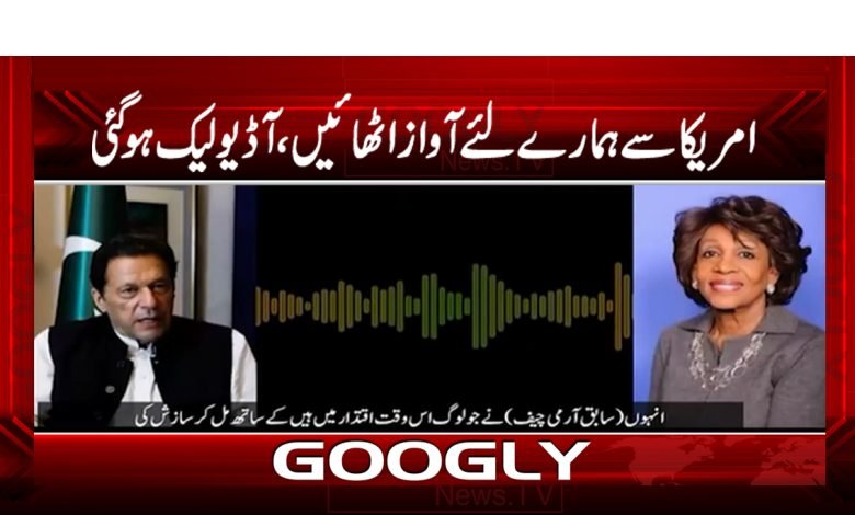 امریکا سے ہمارے لیے آواز اٹھائیں،آڈیولیک ہوگئی 1 audei 1