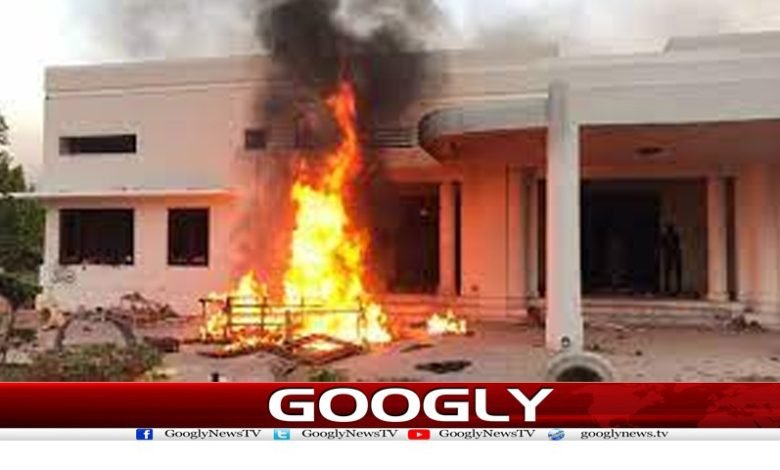 چور کو پڑ گئے مور 1 PTI Latest News In Urdu |
