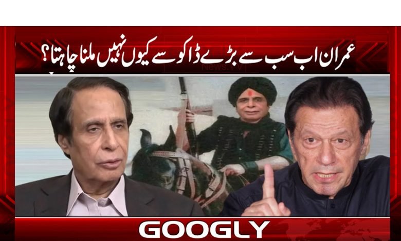 Parvez Elahi Comment Imran Khan