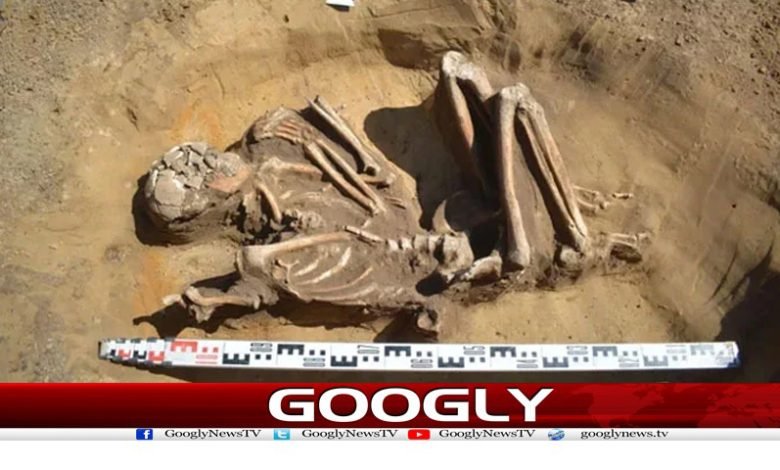 7000-year-old bone Latest News in Urdu