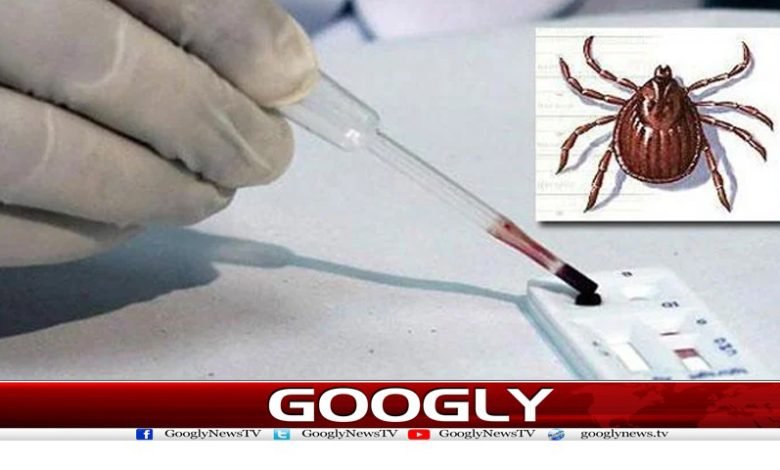 Kangu Virus News in Pakistan in Urdu Health Latest News