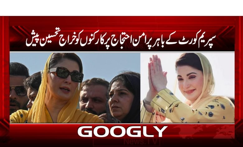 سپریم کورٹ کے باہر پرامن احتجاج،کارکنوں کو خراج تحسین پیش 1 Maryam Nawaz Latest News