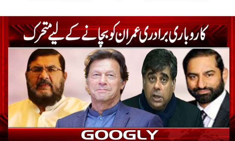 کاروباری برادری عمران کو بچانے کے لیے متحرک 1 ptiiiii