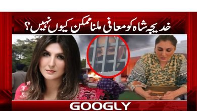 Khadija Shah Latest News in Urdu