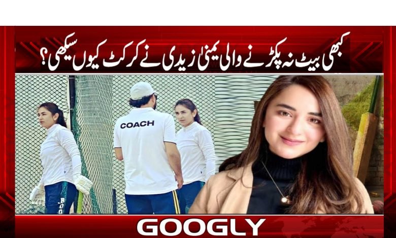 Yamuna Zaidi Latest News in Urdu