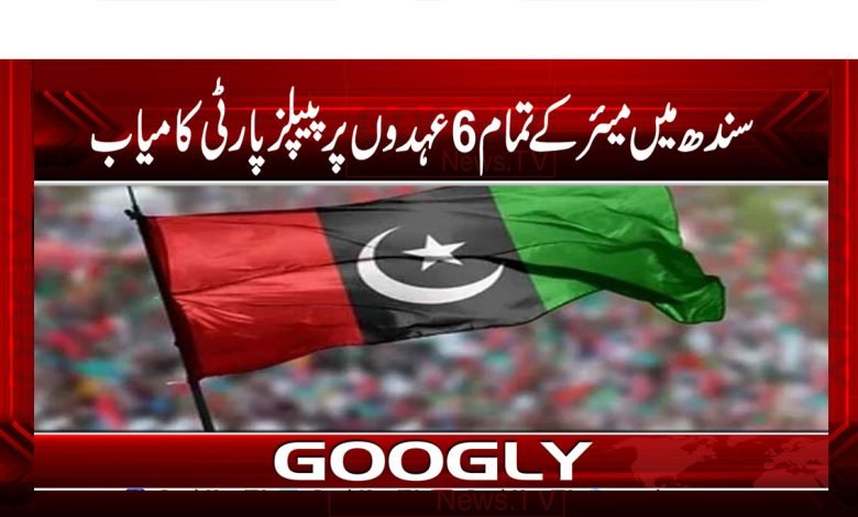 PPP In Sindh Latest News Urdu