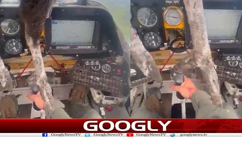 Flying Plane Bird Hit News in Urdu