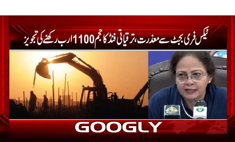 Ayesha Ghous Pasha Statement News