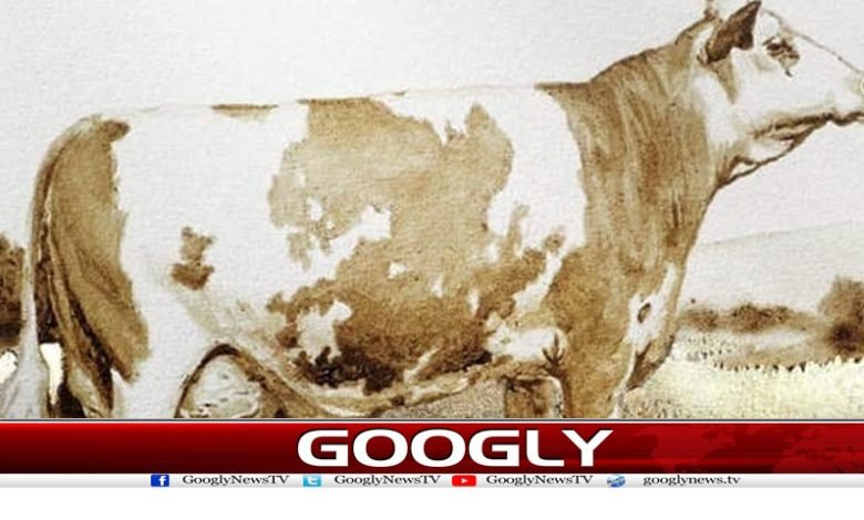 Image of a Cow is Made News in Urdu