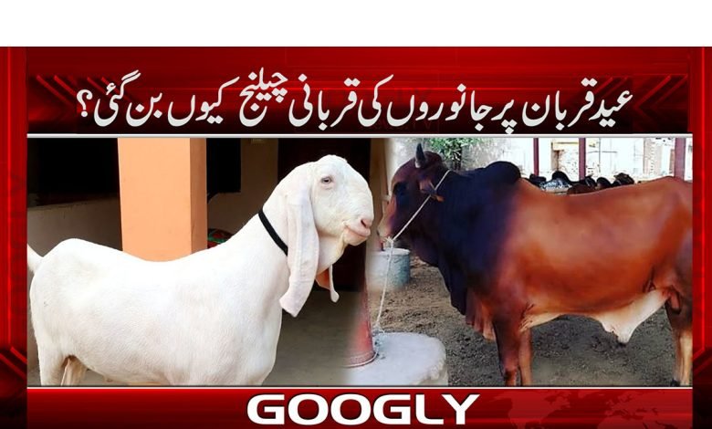 eid 2