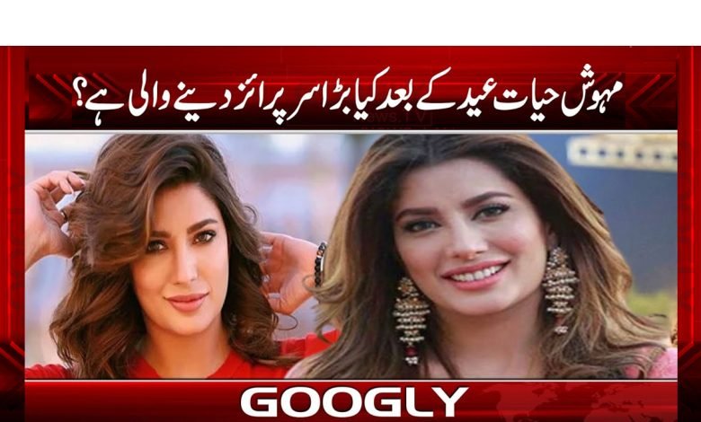 اداکارہ مہوش حیات مداحوں کو کیا سرپرائز دینے والی ہیں؟ 1 hayat