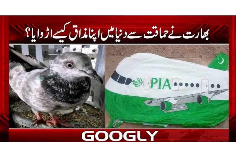 بھارت نے حماقت سے دنیا میں اپنا مذاق کیسے اڑوایا؟ 1 indain 1