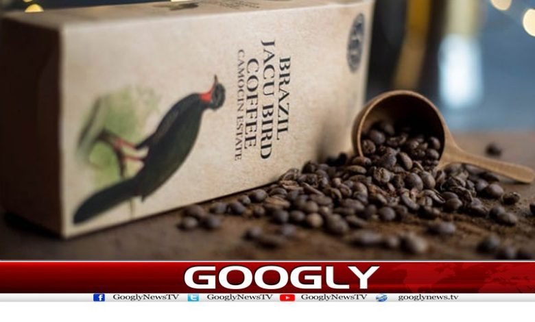 پرندے کے فضلے میں موجود بیجوں سے بننے والی دنیا کی مہنگی ترین کافی 1 Bird Droppings Latest News Urdu