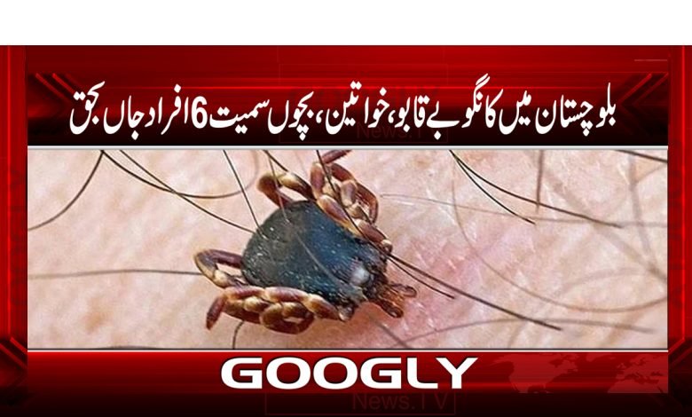 Congo Unrest Balochistan News in Urdu