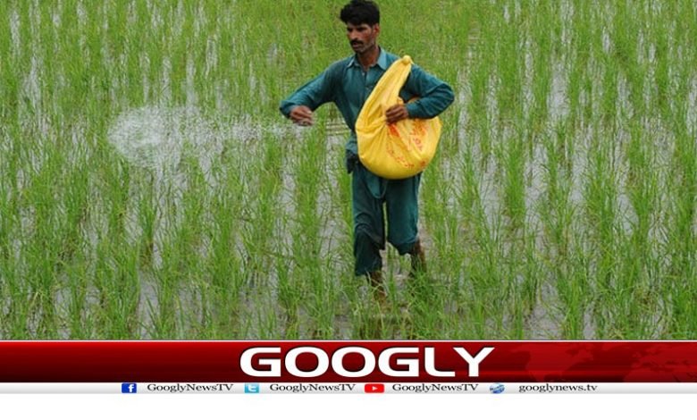 Fertilizer Impose 5% Duty News in Urdu