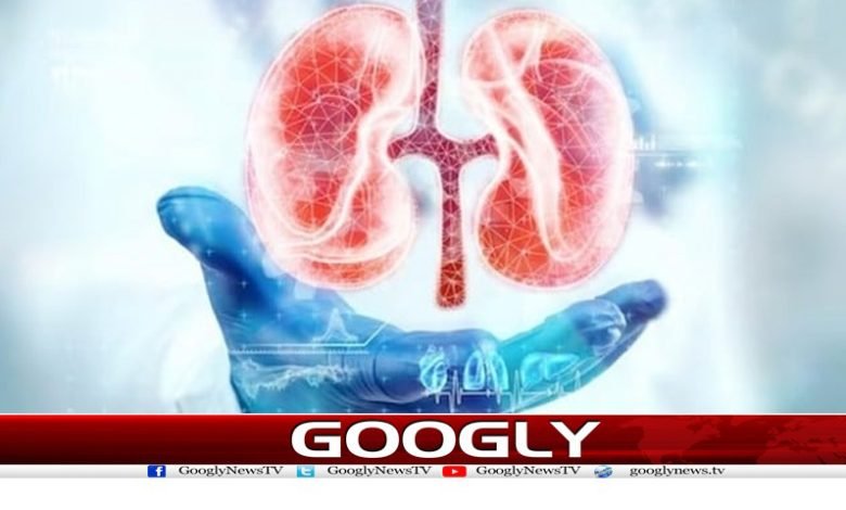 Kidney Failure 5 Symptoms News